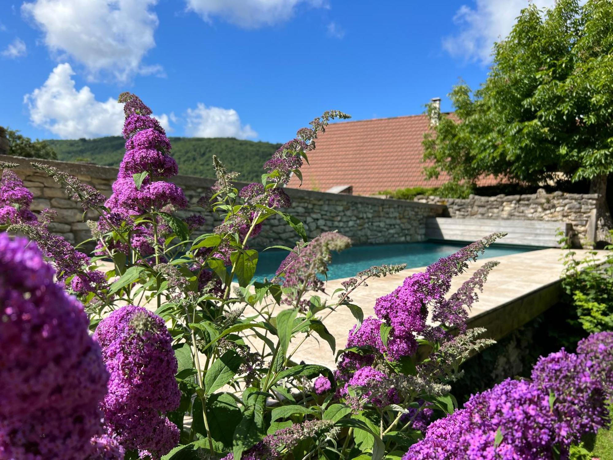Les Granges De L'Eblouaz Panzió Saint-Rambert-en-Bugey Kültér fotó